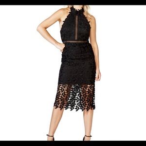 Bardot Halter Lace Cocktail Dress - Black XS
